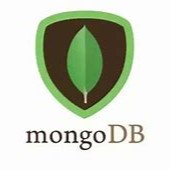 Mongo DB